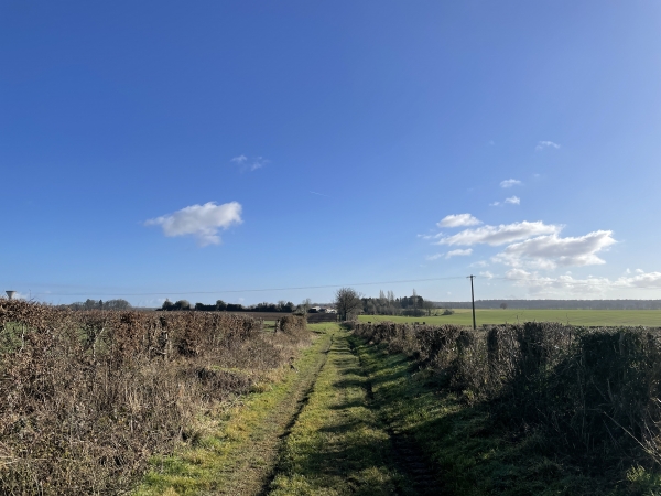 Après la D128, nous suivons le chemin des Grands Genêts dans l'une de ces nombreuses plaines qui ponctuent la forêt domaniale.