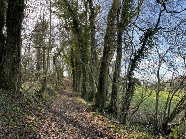 Après les Grands Genêts, noous montons vers le hameau des Livrées.