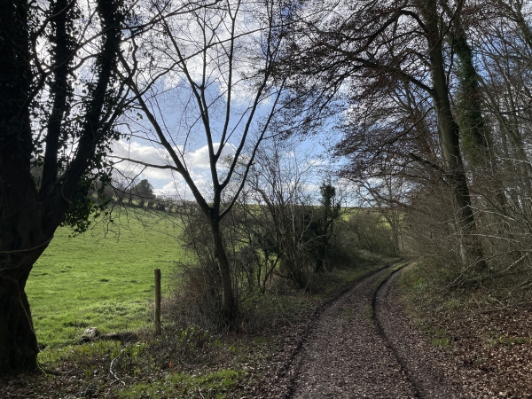 Nous arrivons en lisière. Dans 300 mètres, nous allons monter sur la gauche pour retrouver La Feuillie.