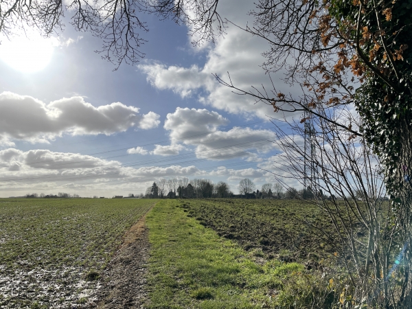 Nous quittons la forêt et traversons la plaine du Haut Manoir.