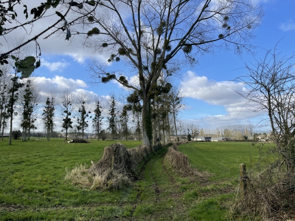 Nous voyons déjà les premières maisons de La Feuillie.