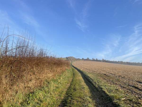 Nous montons maintenant vers le Grand Mont Alix. La pente n'est pas méchante, et la vue sur la vallée donne l'occasion de nombreuses poses.