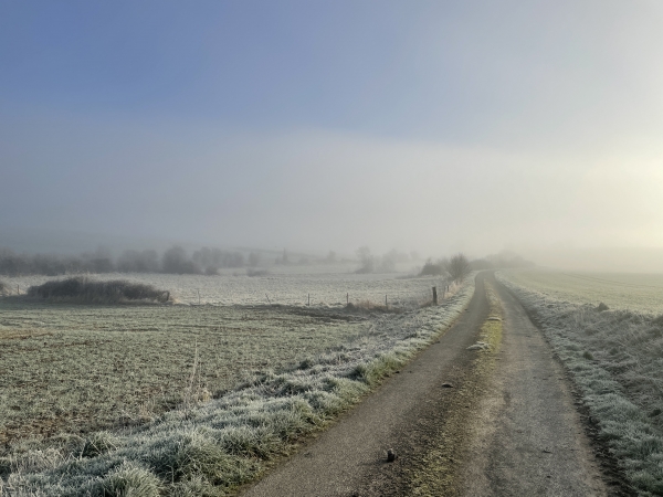 Le chemin Bardinche, devient chemin Marie-Jeanne, puis chemin de Bièvredent.