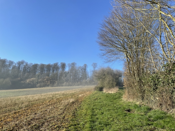 Nous montons la Côte Bergère vers le Mont Robert. Attention, le certains tracés de ce circuit indiquent de passer dans Hodeng-Hodenger, et de rejoindre la Côte Bergère par le chemin qui part route de Beauvoir. Mais ce dernier chemin n'existe plus, c'est notre itinéraire qui est le bon.