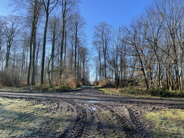 Nous arrivons sur Mont Robert. Comme on le voit, il doit y avoir un chantier forestier quelque part. Nous tournons à gauche.