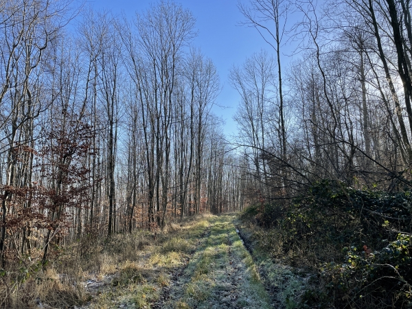 Nous suivons le chemin à mi-pente, vers l'est.