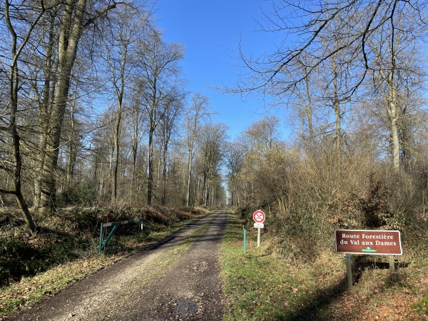 Nous entrons en forêt de Lyons par la route forestière du Val aux Dames. Comme on le voit, les barrières des forêt domaniales de Seine-Maritime restent désormais ouvertes en permanence. On en voit même qui reposent dans le fossé...