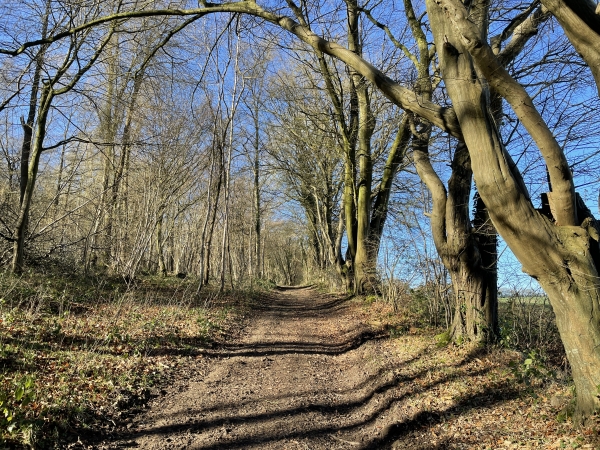 Nous traversons le Val aux Dames, et remontons vers le chemin de la Mistacrie.