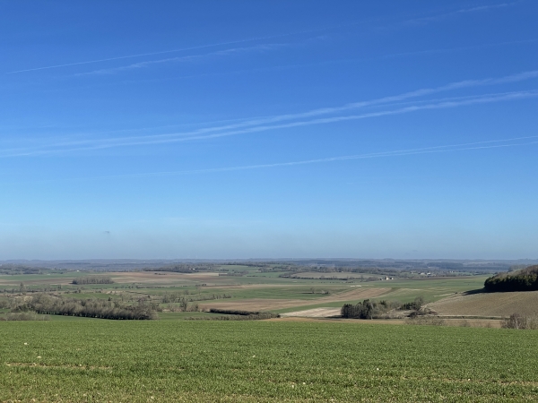 Ce chemin offre un panorama époustouflant sur la boutonnière du Pays-de-Bray, en direction de Fry et d'Argueil.