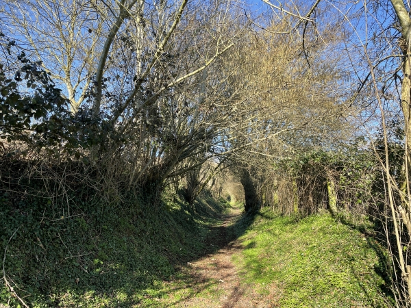 Après avoir tourné rue Clément Luc Bobée, nous suivons ce dernier chemin creux en direction du centre de Fry.