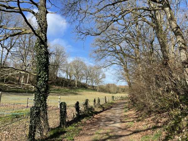 Nous montons le chemin des indes, le long du bois du Bec, en direction de Turretot.