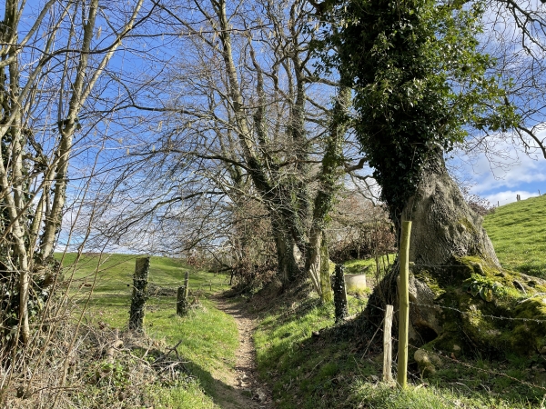 Nous avons quitté le GR21, et nous contournons le bourg de Turretot en marchant vers l'est, non loin d'Hermeville.