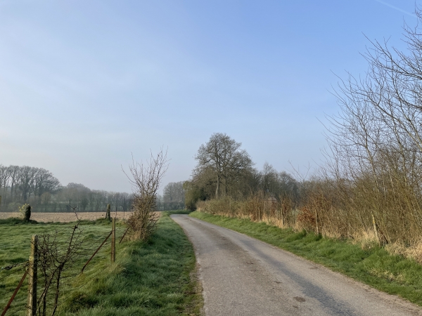 La petite route qui relie le bourg à la chapelle est totalement déserte en cette matinée du mois de mars.