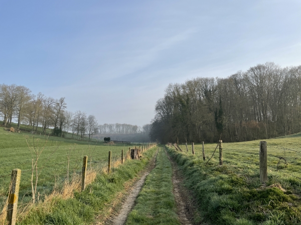 Après la chapelle, nous rejoignons la D90 et tournons tout de suite sur le premier chemin à droite. Ce charmant chemin serpente dans le Fond de Vienne, entre bois et prairies.