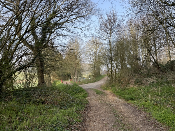 Nous quittons le chemin du Fond de Vienne (ou chemin du Chaumier), et rejoignons le Chemin de Chopillard, qui est une petite route qui monte vers les Monts de Caux.