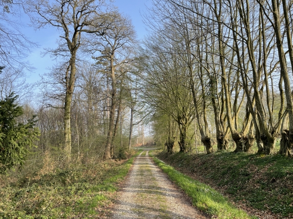 Nous entrons en forêt domaniale de Brotonne (et donc en Seine-Maritime) par le lieu-dit La Londe.