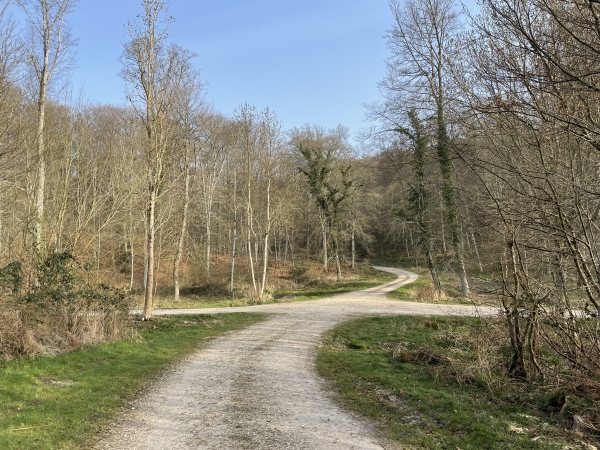 Nous suivons le chemin de Montfort, et au carrefour, nous prenons à droite le chemin du Val de Bourneville.