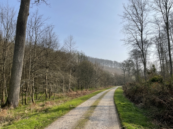 Le GR23 nous rejoint sur le chemin du Val de Bourneville. Nous allons le suivre jusqu'au sommet du Plateau.