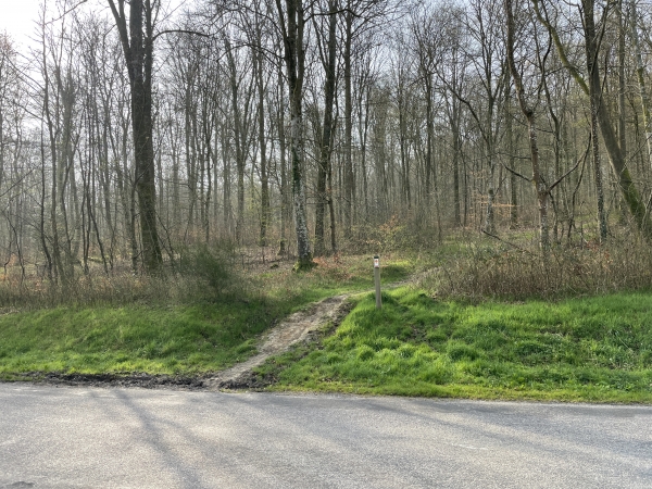 Après la D40, le GR23 suit le sentier en face de nous, le chemin de la Fosse à la Dame, qui monte sur le Plateau.