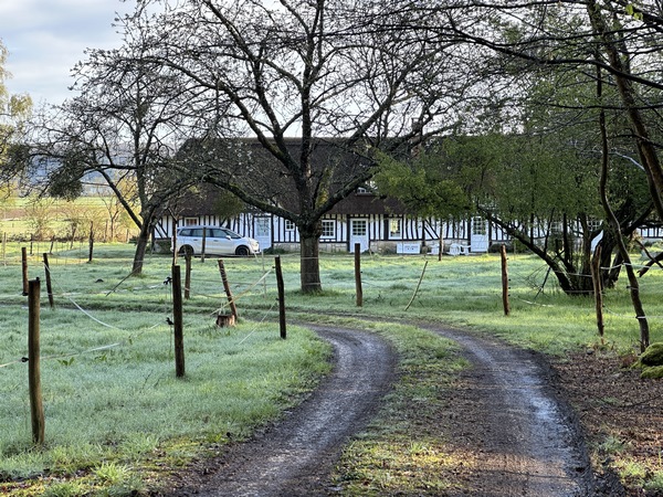 Clos du Mort en lisière de forêt.