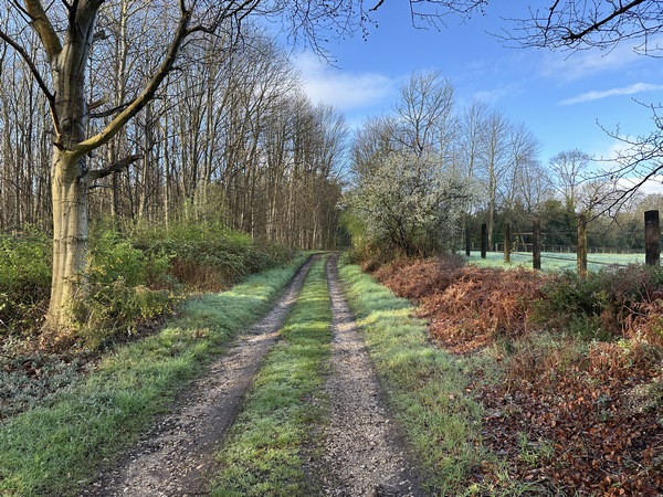 Nous marchons entre la forêt communale de Saint-Nicolas-de-Bliquetuit à notre droite, et la forêt communale de Notre-Dame-de-Bliquetuit à notre gauche.