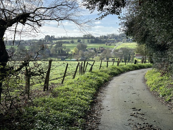 Le sentier s'élargit et arrive au-dessus du vallon du Wuy.