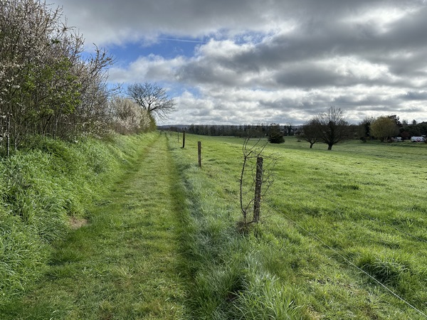 Avant d'atteindre le Petit Wuy, nous tournons sur ce tout aussi délicieux chemin qui longe le vallon.