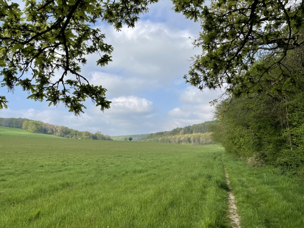 Nous arrivons dans la vallée de la Fontaine Murée, nous allons continuer dans le bois sur la colline d'en face.