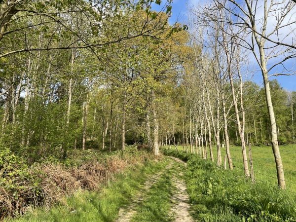 Après le vallon, nous montons vers Beauchêne, un hameau de Gruchet-le-Valasse.