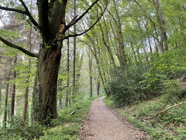 Là encore, le chemin est superbe. Mais c'est vrai qu'au mois d'avril, tous les chemins sont beaux.