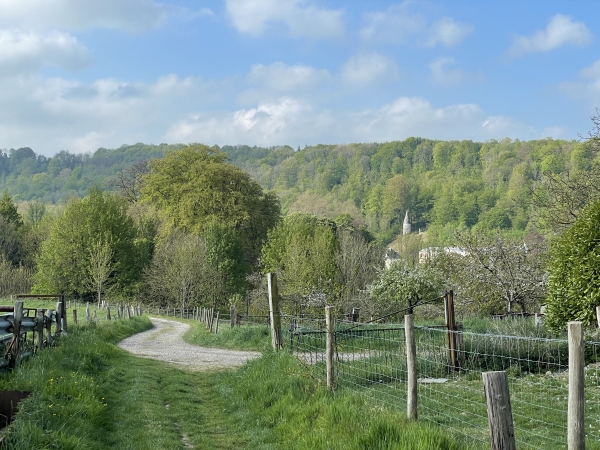Nous sortons du bois et on peut distinguer en face, l'abbaye du Valasse. Il faut savoir que, depuis 2013, l'abbaye est libre d'accès. On peut parcourir les jardins et les abords de l'abbaye, puis faire une pose au salon de thé sous les voutes cistercienne.