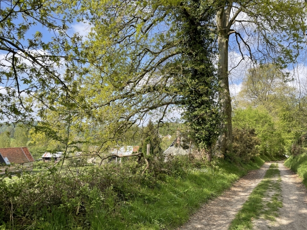 Nous remontons dans les bois en passant par le Val Horrible. Visiblement, l'origine du nom de ce lieu-dit ne vient pas de ses paysages !