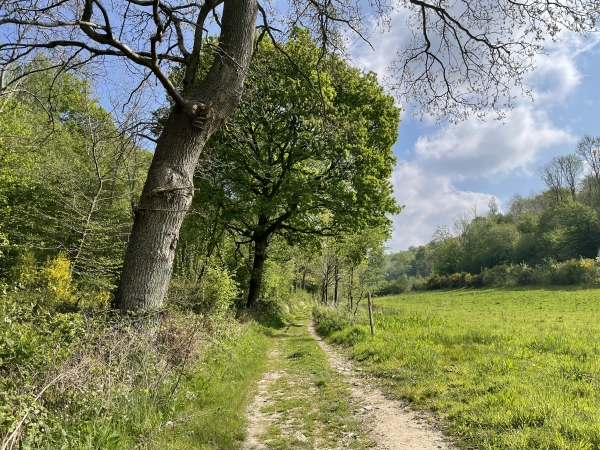 Nous suivons le GRP Vallée de Seine, entre les bois de la Côte de l'Epine à gauche, et le bois de la Réserve à droite.