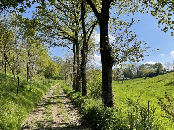 Nous arrivons sur le plateau au niveau de la Petite Moissonnière.