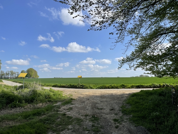 Nous quittons les chemins, et partons sur la droite pour faire un petit aller-retour vers le château de Lintot.