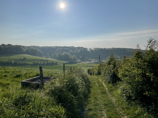 Nous suivons le chemin du Gros-Hêtre en direction du bois de la Côte aux Landes, en face de nous.