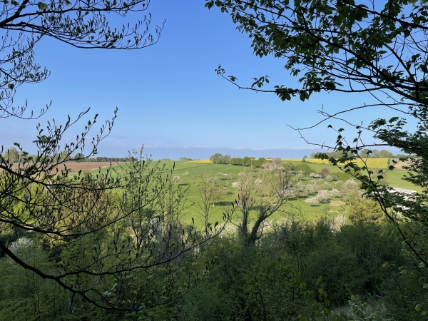 En montant vers le bois de la Côte aux Landes, on peut apercevoir les doux paysages qui entourent St-Aignan-sur-Ry.