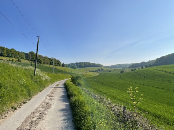 Nous suivons le Chemin de l'Enfer, mais nous allons le quitter avant sa destination pour monter sur la colline boisée.