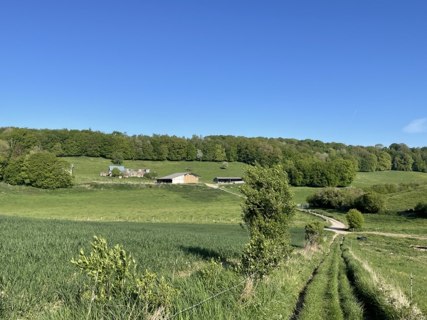 Montée vers le bois de la Housselaye. Regard arrière vers l'Enfer. C'est le nom de la ferme qui domine ce petit paradis de calme et de verdure.