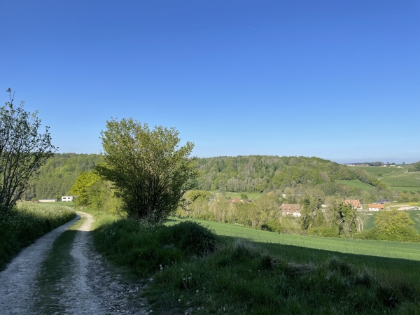A la sortie du bois de la Housselaye, la perspective s'ouvre sur la vallée du Héro,, et ses coteaux boisés.