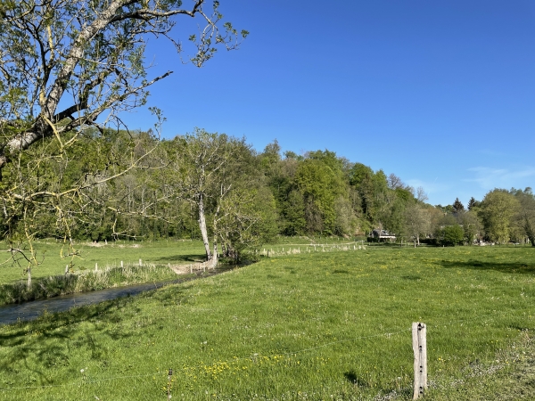 Nous traversons la D46, et continuons sur l'impasse du Gué et ses doux paysages de la vallée du Héron.