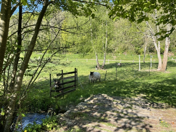 Passerelle sur le canal du moulin.