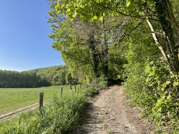 Nous montons maintenant sur le chemin de la Côte de la Mare au Fresne.