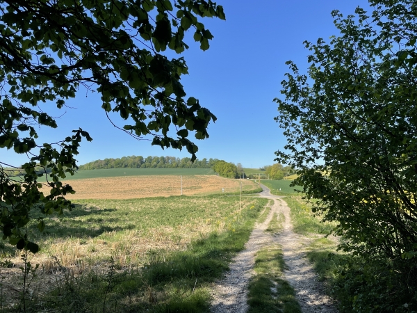 Nous sortons du bois de la Mare au Fresne, et allons continuer tout droit vers le hameau de Ouenville.
