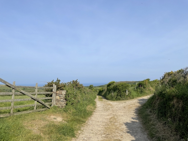 Nous arrivons rapidement sur les chemins qui circulent entre les prés. Le balisage nous guide vers la baie d'Ecalgrain.