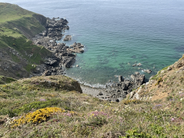 L'Anse de Pivette et la Pointe du Bec de l'Âne.