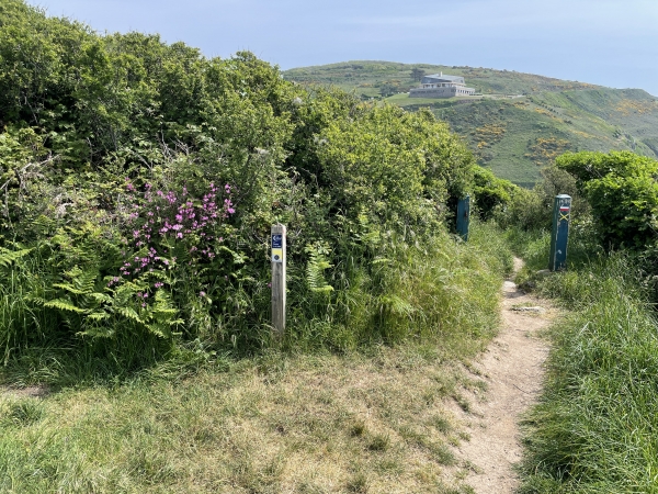 A la moitié de la descente, le balisage jaune nous indique de quitter le Sentier de Littoral, et de tourner vers nord.