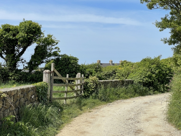 Nous longeons le lac des Moulinets (Réserve de l'usine de retraitement de Jobourg), et remontons sur le plateau.
