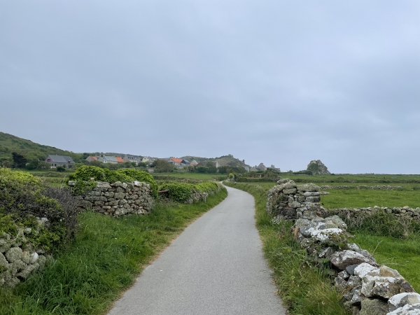 Nous marchons entre les murs de pierres sèches, en direction du village de la Roche.