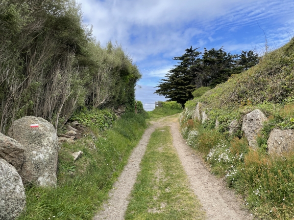 Nous suivons le Sentier du Littoral, qui contourne ici le port Pignot.